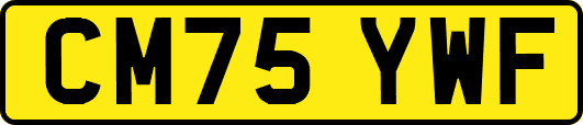 CM75YWF