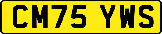 CM75YWS