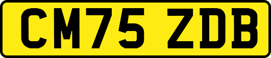 CM75ZDB