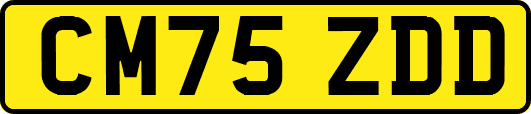 CM75ZDD