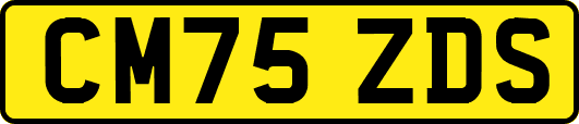 CM75ZDS