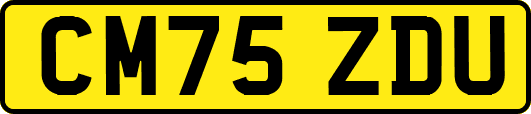 CM75ZDU