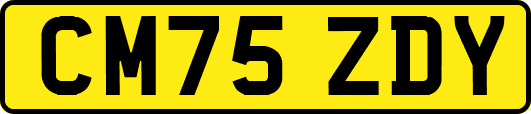 CM75ZDY