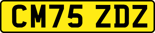 CM75ZDZ
