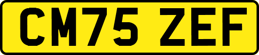 CM75ZEF