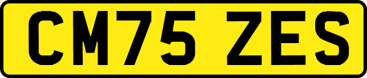 CM75ZES