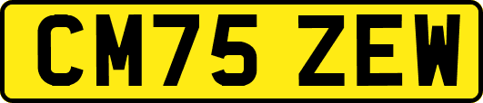 CM75ZEW