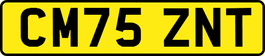 CM75ZNT