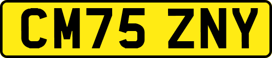 CM75ZNY