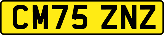 CM75ZNZ