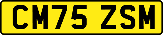 CM75ZSM