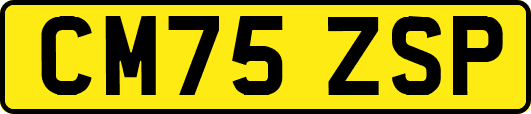 CM75ZSP