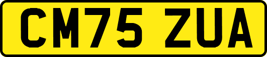 CM75ZUA