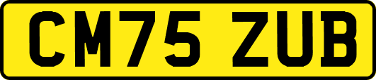 CM75ZUB