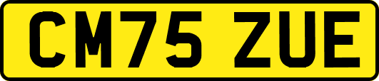 CM75ZUE
