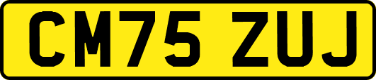 CM75ZUJ