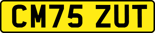 CM75ZUT