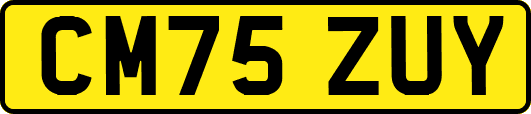 CM75ZUY