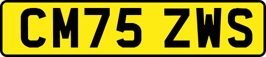 CM75ZWS