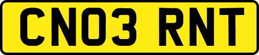 CN03RNT