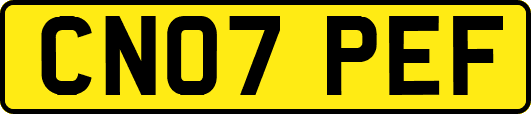 CN07PEF