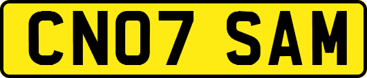 CN07SAM