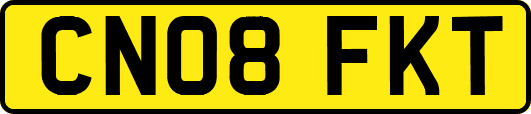 CN08FKT