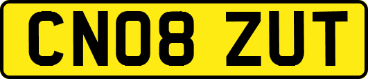 CN08ZUT
