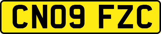 CN09FZC