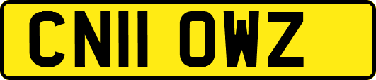 CN11OWZ