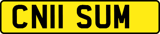 CN11SUM