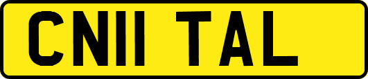 CN11TAL