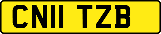 CN11TZB