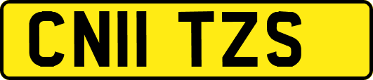 CN11TZS
