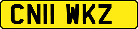 CN11WKZ