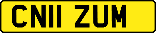 CN11ZUM