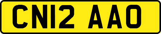 CN12AAO