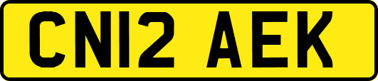 CN12AEK
