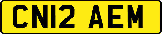 CN12AEM
