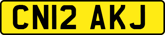 CN12AKJ