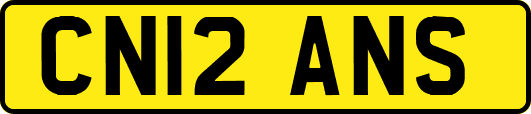 CN12ANS