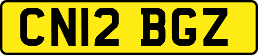 CN12BGZ