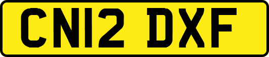 CN12DXF