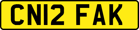 CN12FAK
