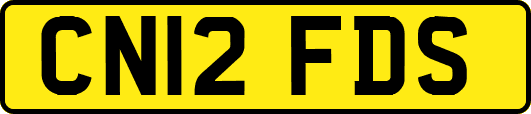 CN12FDS