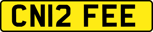 CN12FEE