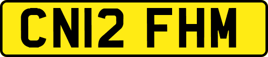 CN12FHM