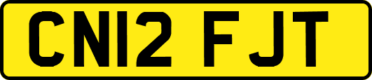 CN12FJT