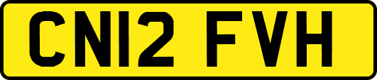 CN12FVH