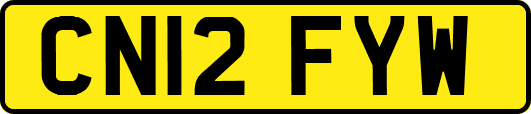 CN12FYW